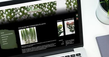 SEO geoptimaliseerde responsive website voor Verheijen Plants uit Wieringerwerf
